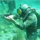 Illustration for article titled Scuba Diving In A War Zone? Better Bring Your Underwater Gun!